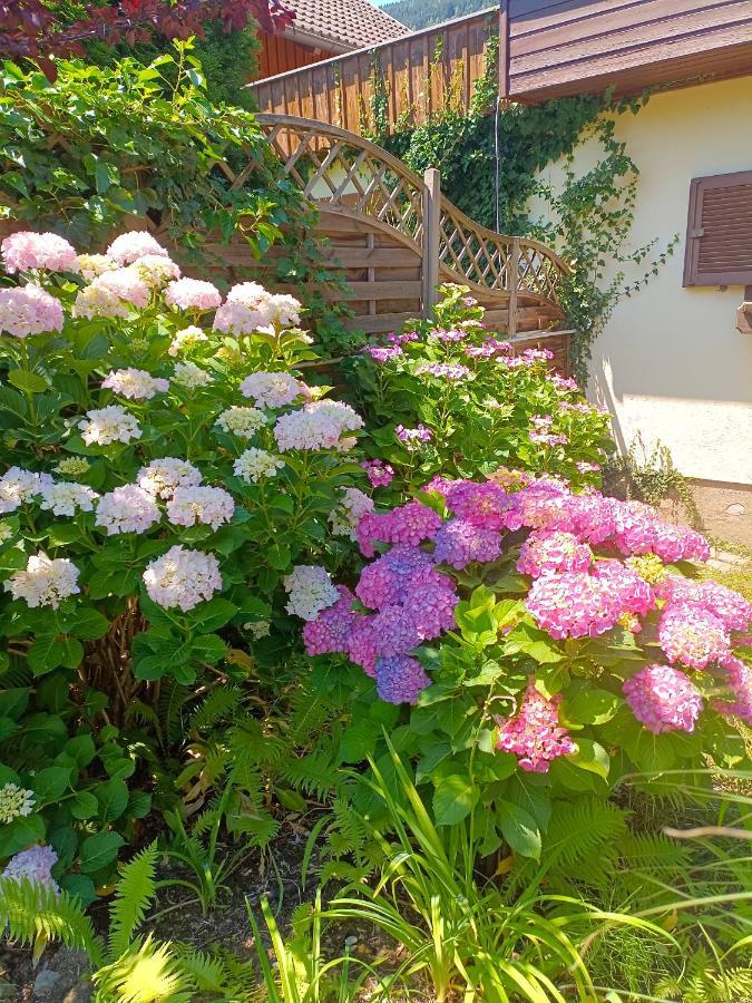 Haus Flora - Ferienwohnung Bodensdorf Bagian luar foto
