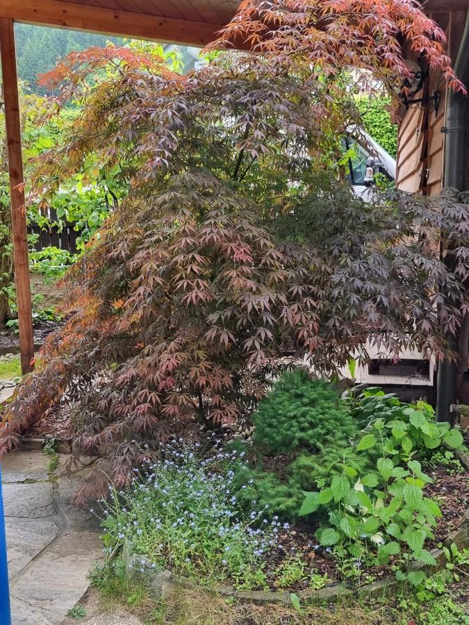 Haus Flora - Ferienwohnung Bodensdorf Bagian luar foto