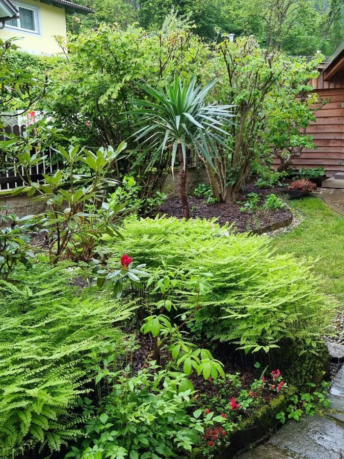 Haus Flora - Ferienwohnung Bodensdorf Bagian luar foto